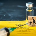 Affenpocken: Impfkampagne in der Kritik
