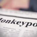Affenpocken: WHO berät über Notstand
