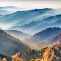 Frühling im Schwarzwald