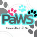 Logo von PaWS // © PaWS