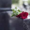 Friedhof in Zürich richtet „Regenbogen“ Themenfeld ein