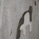 Ausstellung Ludger Hegerfeld „o.T.“