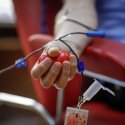 Schwule Blutspenden