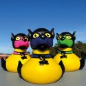 BIST DU BEREIT FÜR EINE PUPPYDUCK?