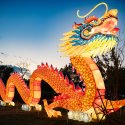 China Light-Festival im Kölner Zoo