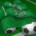 FIFA und die Menschenrechte