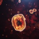 Warnung vor neuer Mpox-Virusvariante
