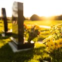 Es muss nicht immer Friedhof sein 