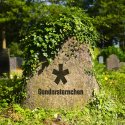 Erneuter Knockout fürs Gendern