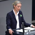 Scharfe Kritik an Weidel