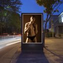 Schwulenpornos auf Werbedisplays