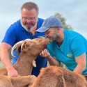Schwules Paar betreibt Lebenshof: Vielfalt und Tierschutz