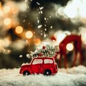 Survival Guide für Weihnachten