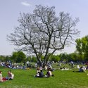 Gewalt im Görlitzer Park: Angriff auf schwulen Mann