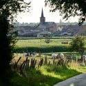 Queere Jugendliche in Flandern