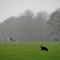 Festnahmen: Homofeindlicher Angriff im Hamburger Stadtpark
