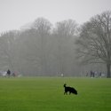 Stadtpark // © clarini