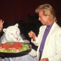 Serie über Siegfried und Roy 