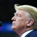 Ein Jahr Donald Trump