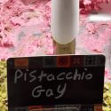 Italien: Kritik an Eisdiele wegen "Pistacchio Gay"-Eis