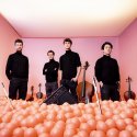 vision string quartet