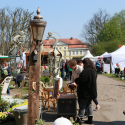 Land-Geflüster
