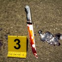 Cold Case in Düsseldorf