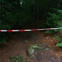 Mord nach SM-Sex 