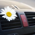 Schwul durch Autoluft­erfrischer