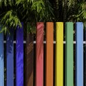 Streit am Gartenzaun