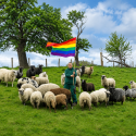 Projekt Rainbow Wool