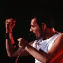 80 Jahre Freddie Mercury