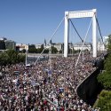 Peinliche PR-Aktion der AfD