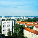Brutaler Angriff auf trans* Frau in Dresden