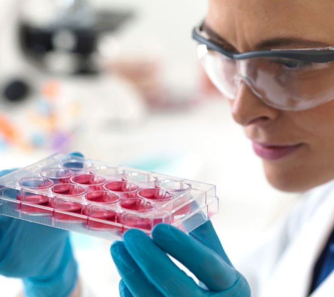 Nabelschnurblutstammzellen – so weit ist die Forschung heute © vita34 