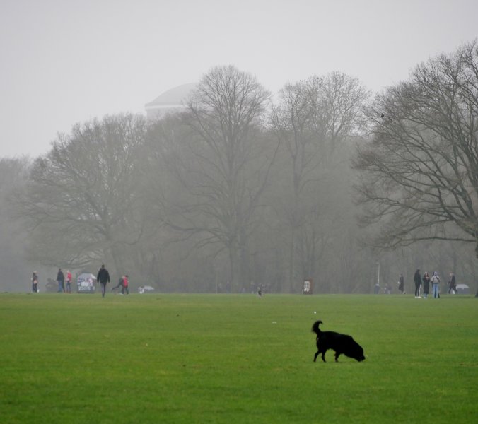 Festnahmen: Homofeindlicher Angriff im Hamburger Stadtpark