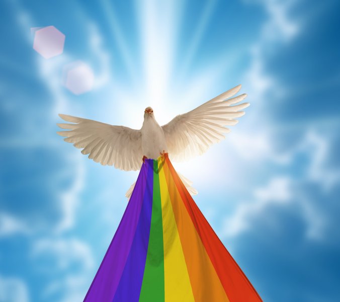 Kansas: Polyamore Taubenfamilie zieht alle Blicke auf sich