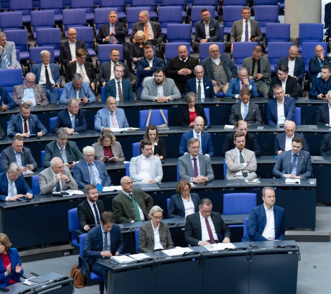AfD -Antrag im Bundestag 
