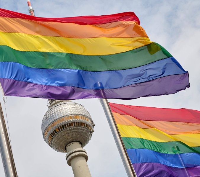 Kritik an Magnus-Hirschfeld-Gesellschaft