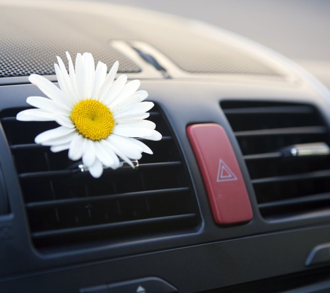 Schwul durch Autoluft­erfrischer