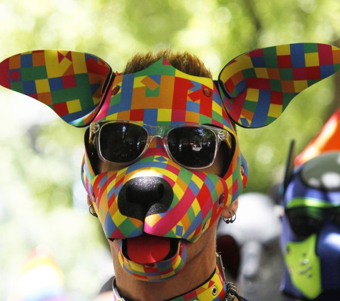 Puppy mit bunter Maske (Symbolbild) // © JanaShea